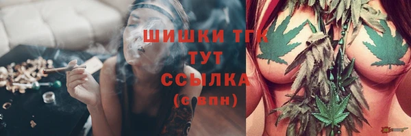 спиды Ельня
