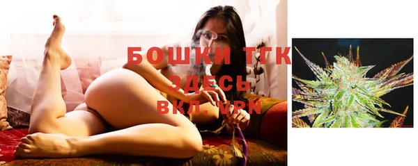 спиды Ельня