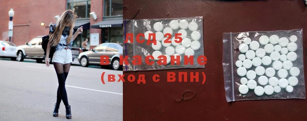 спиды Ельня