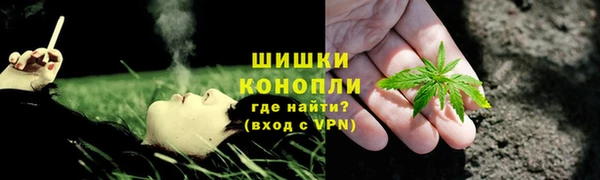 спиды Ельня