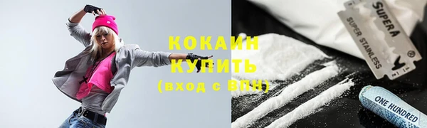 спиды Ельня