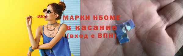 спиды Ельня