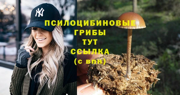 прущая мука Елизово