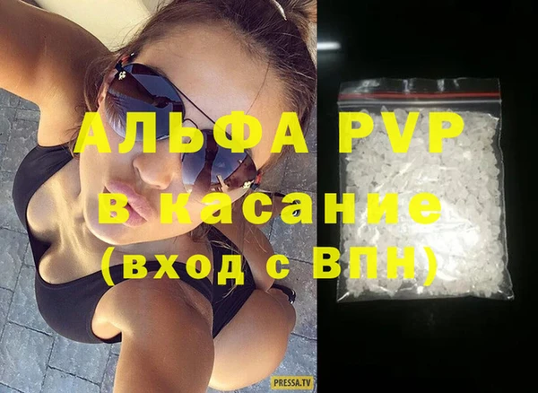 спиды Ельня