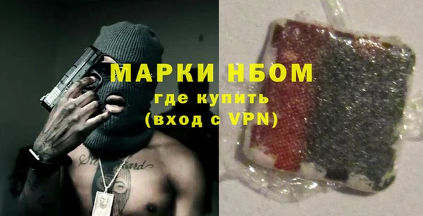спиды Ельня
