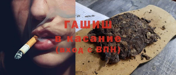 спиды Ельня