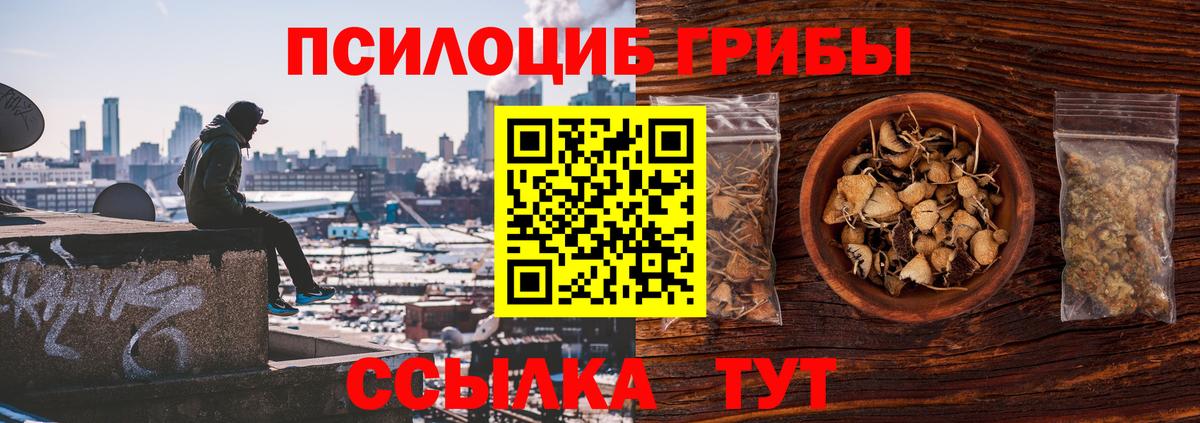 Псилоцибиновые грибы прущие грибы  Калач-на-Дону 